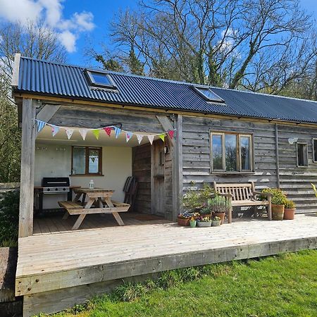 Log Cabin At The Old Summer Dairy Glastonbury Somerton  Exteriér fotografie