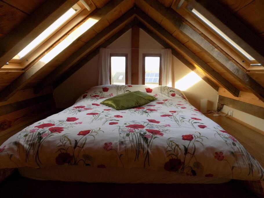 Log Cabin At The Old Summer Dairy Glastonbury Somerton  Exteriér fotografie